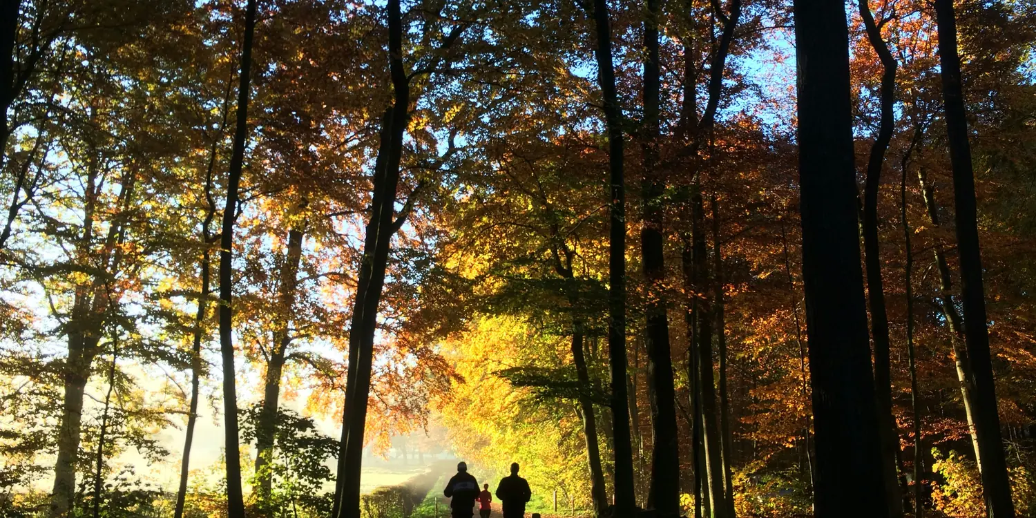 Background image of Aachen