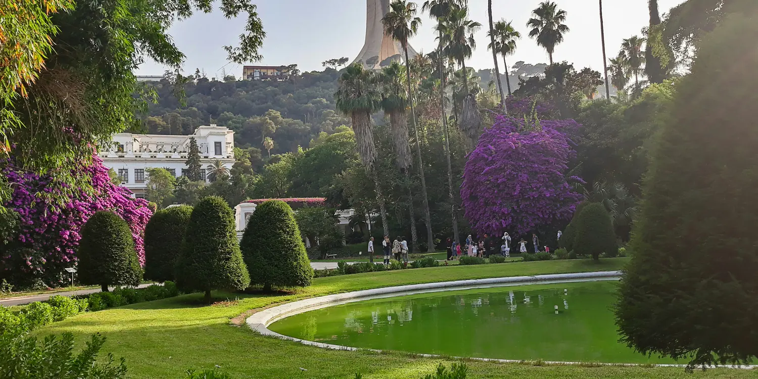 Background image of Algiers