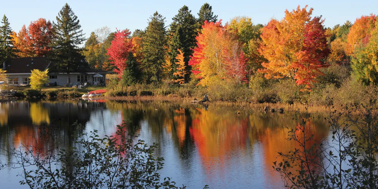 Background image of Appleton