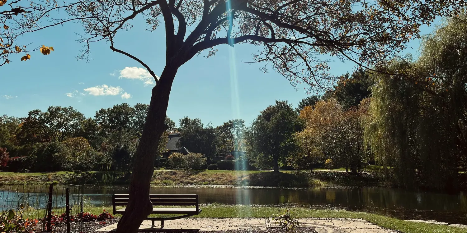 Background image of Champaign