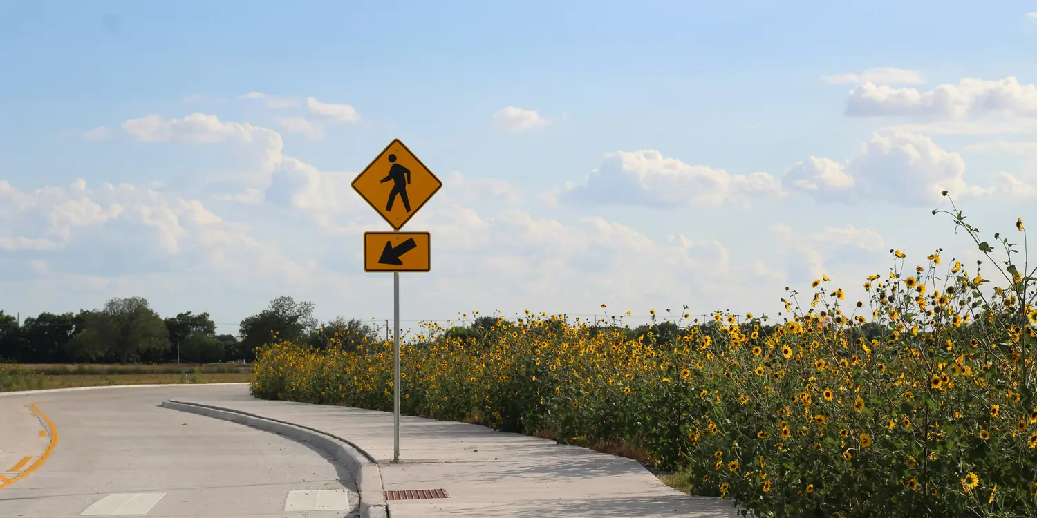 Background image of Conroe
