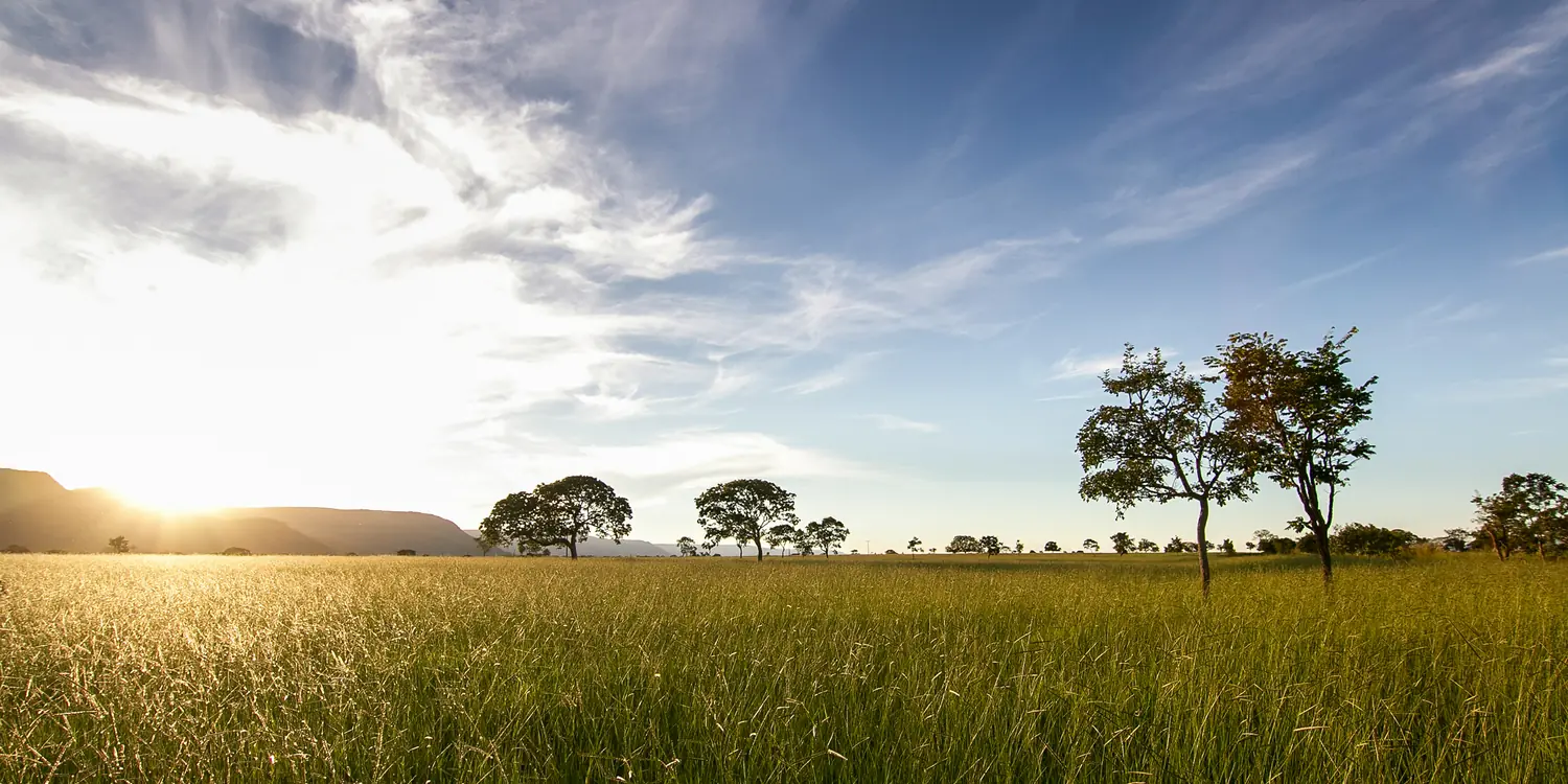 Background image of Goiania