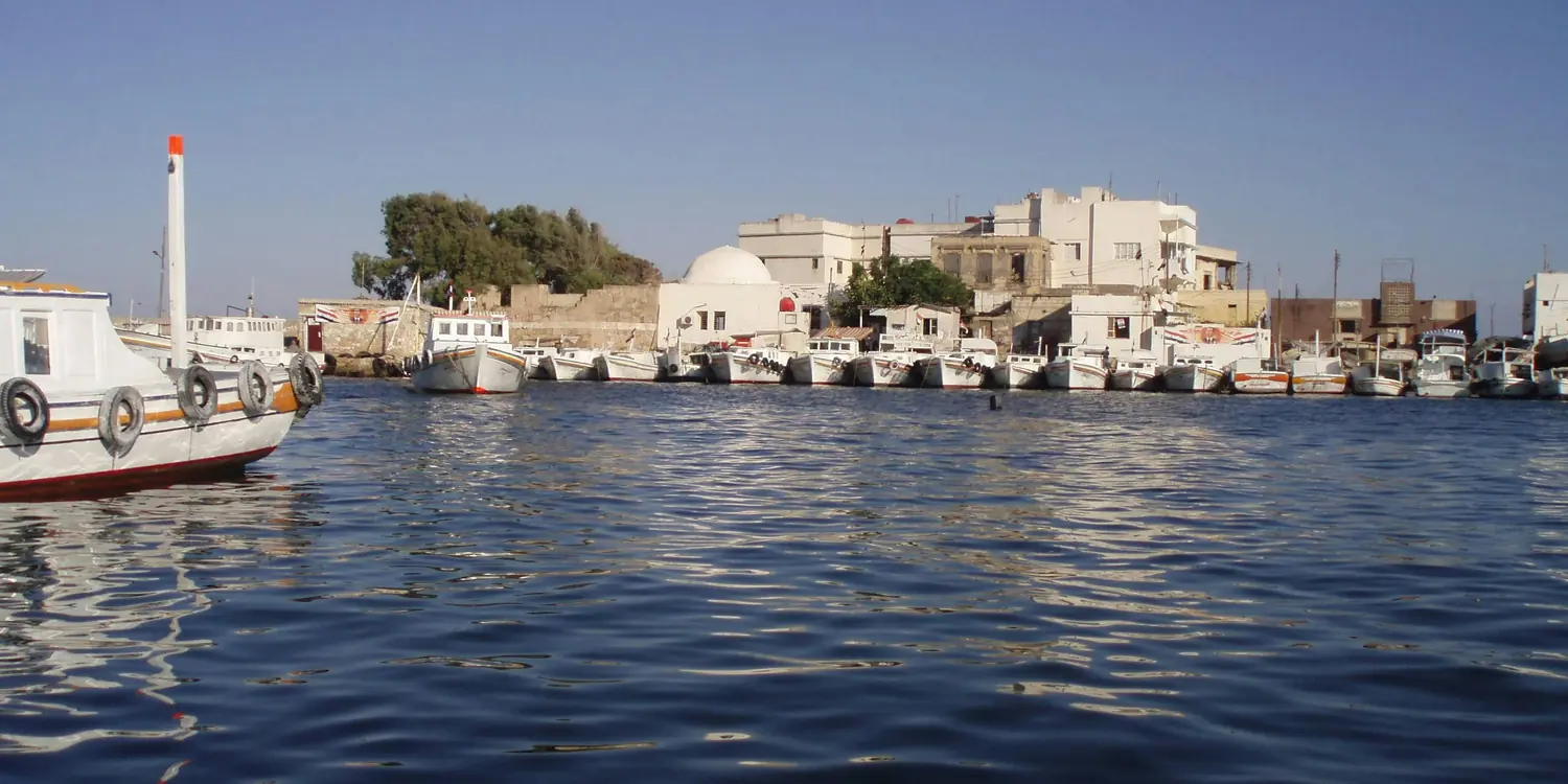 Background image of Hama