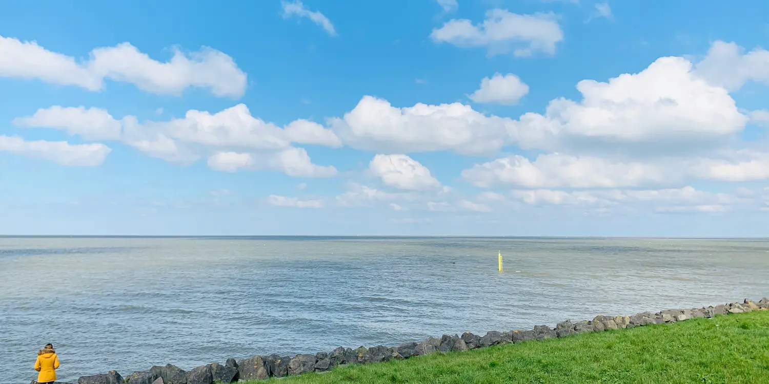 Background image of Lelystad