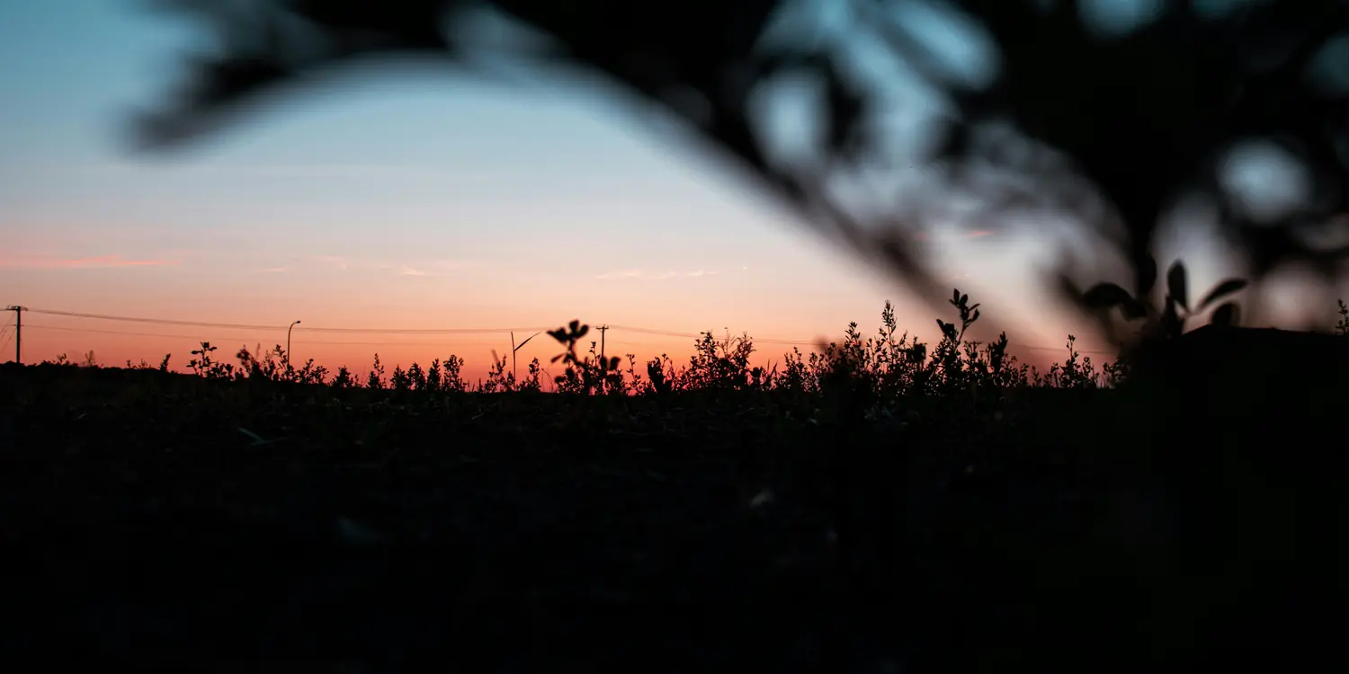 Background image of Minot