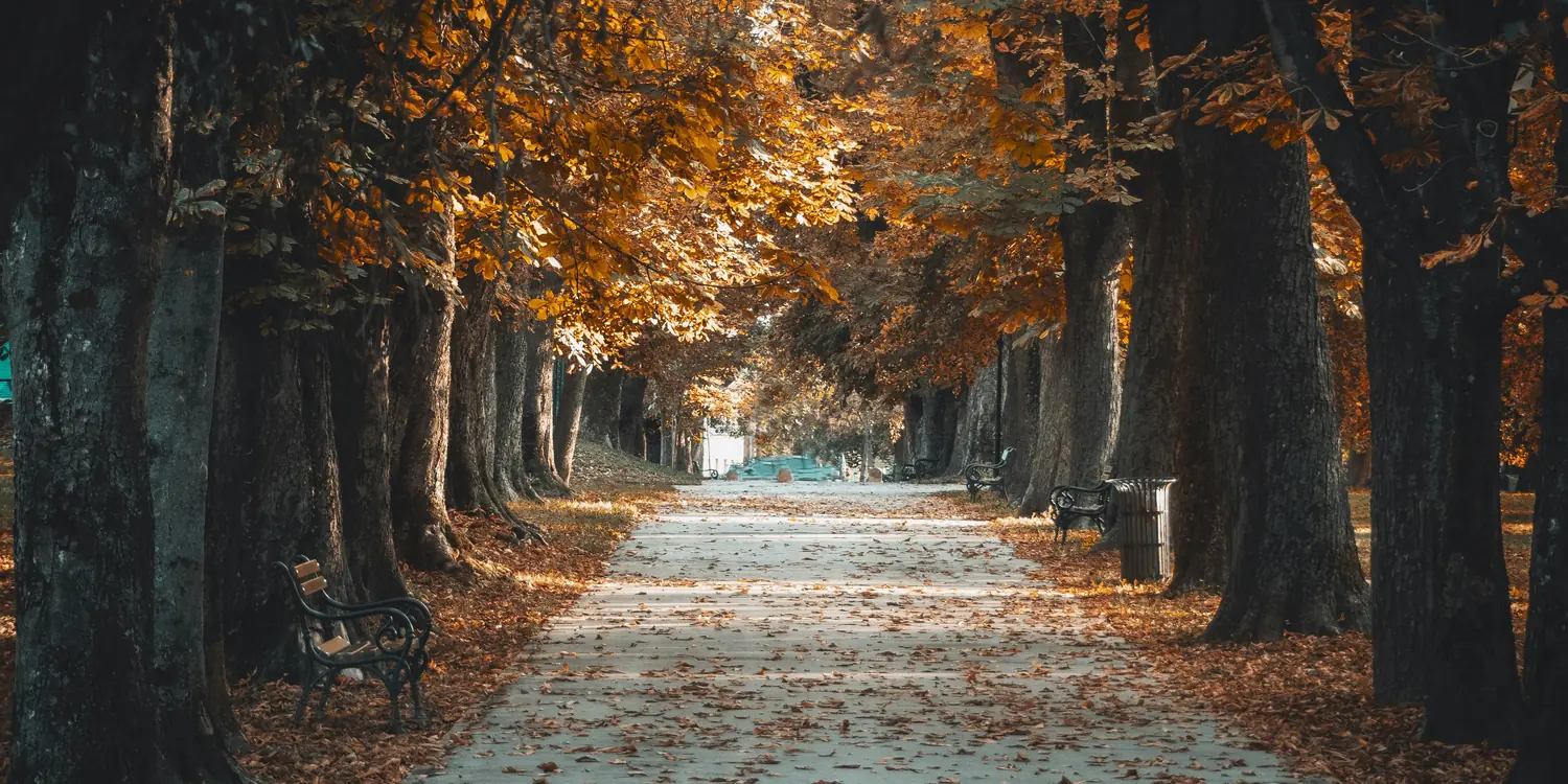 Background image of Osijek