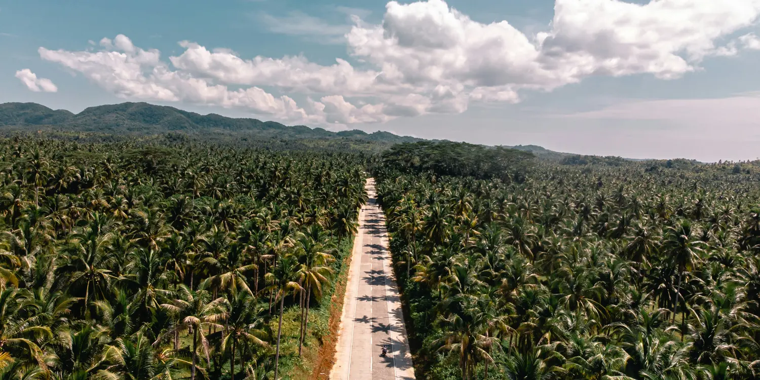 Background image of Siargao