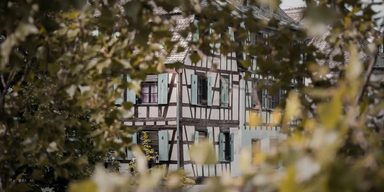 Background image of Strasbourg