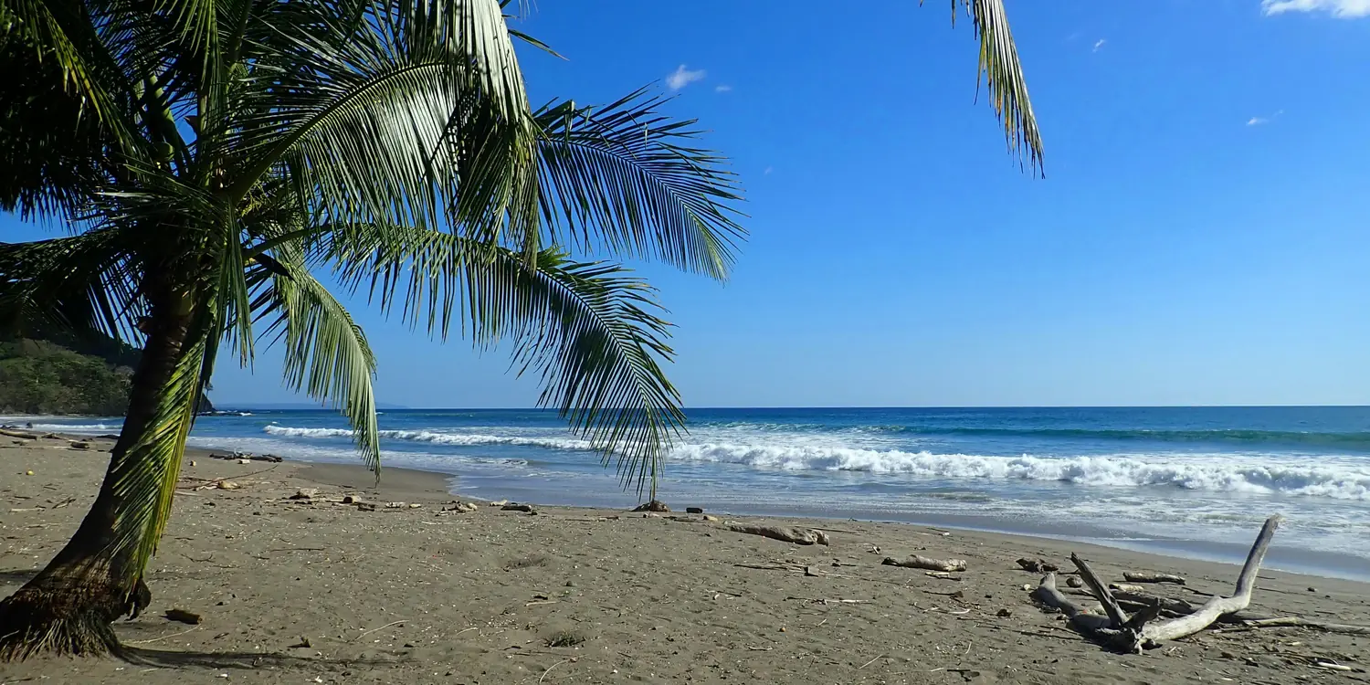Background image of Tamarindo