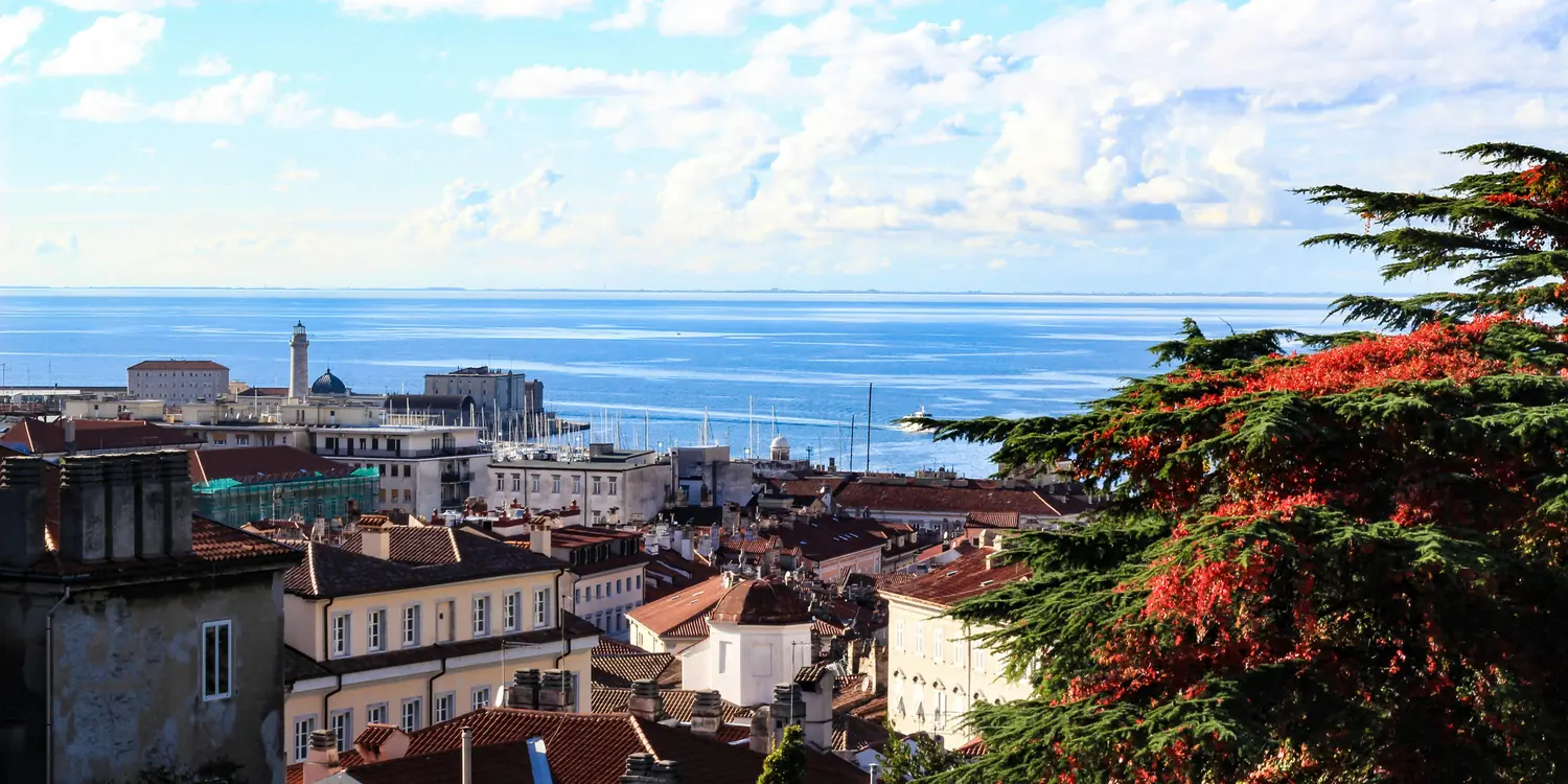 Background image of Trieste