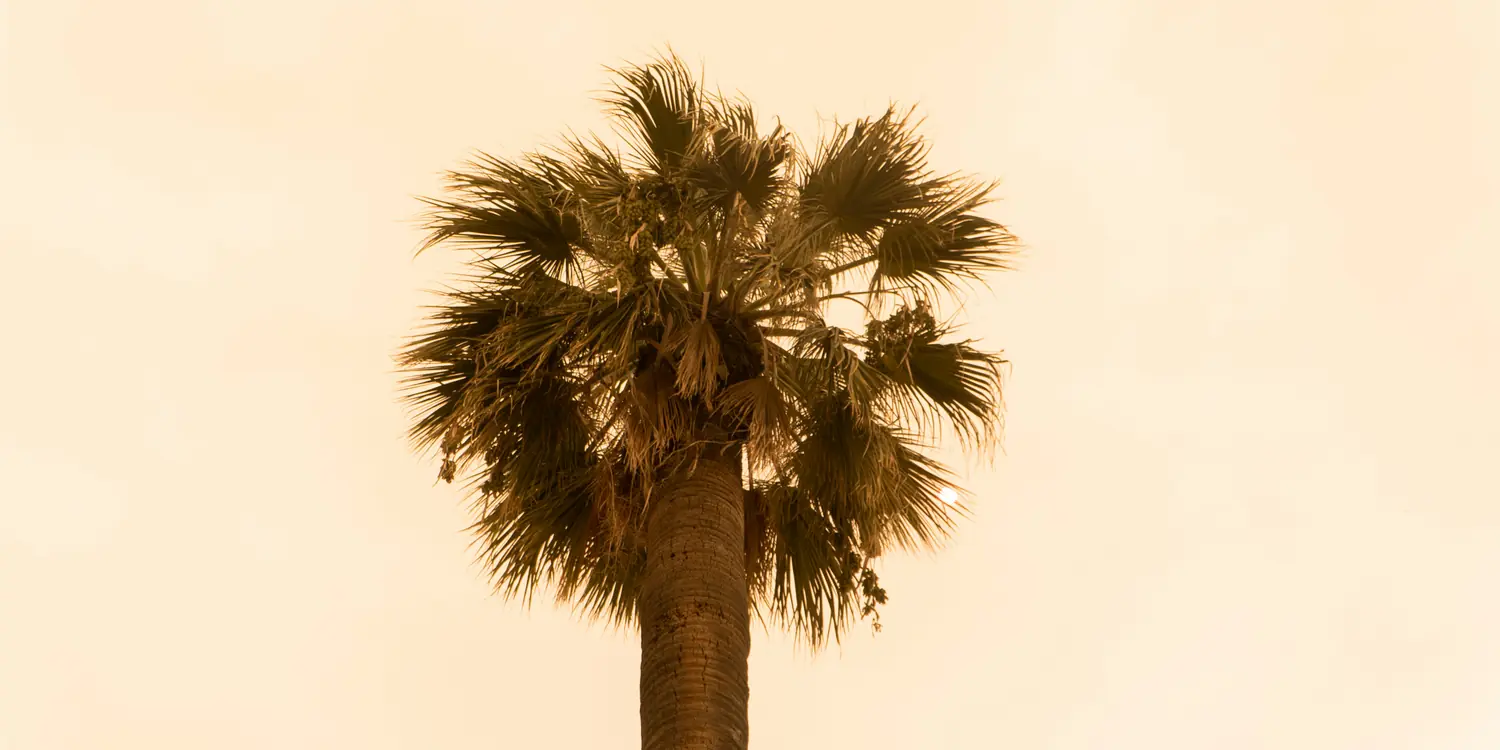Background image of Tulare