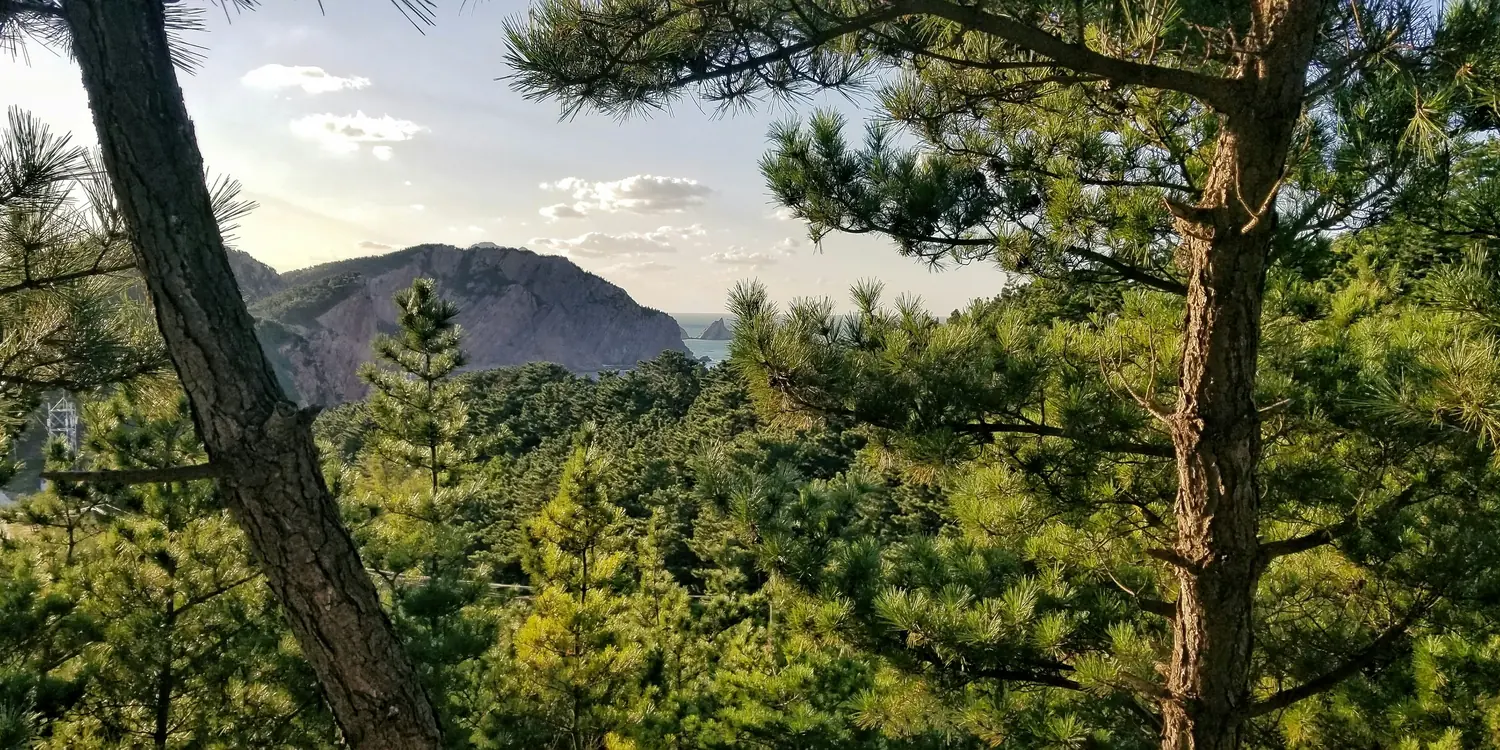 Background image of Yantai