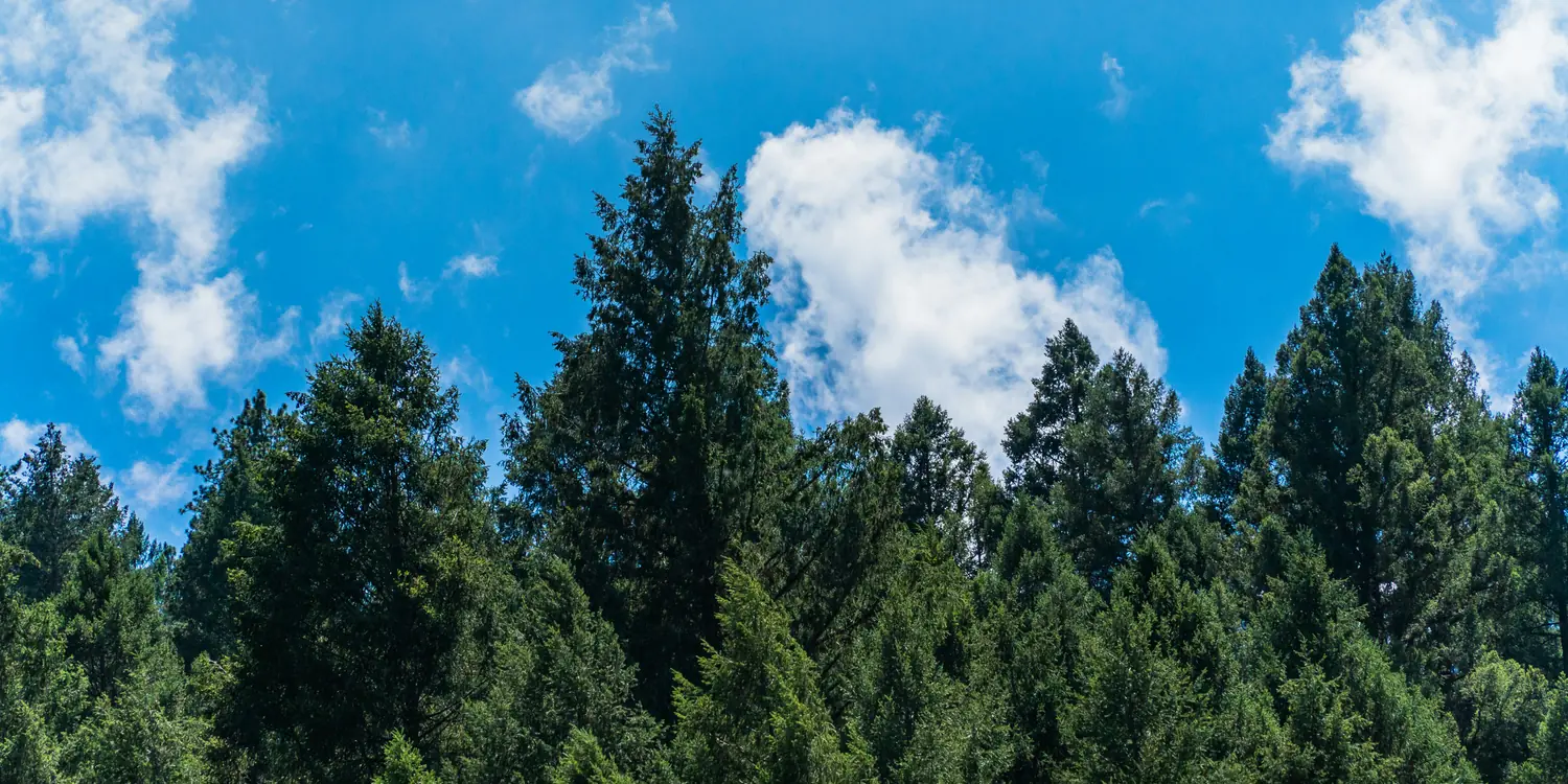 Background image of Yuba City