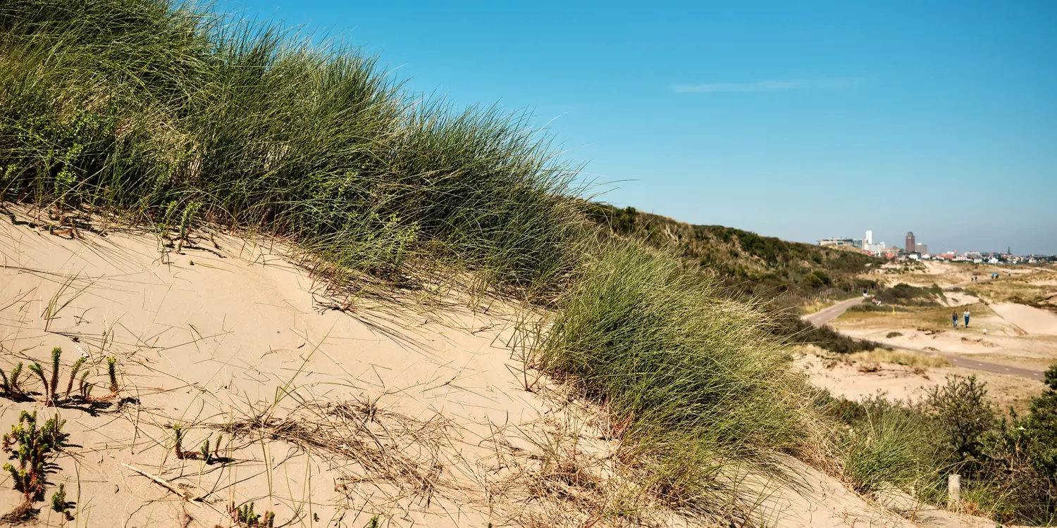 Background image of Zandvoort