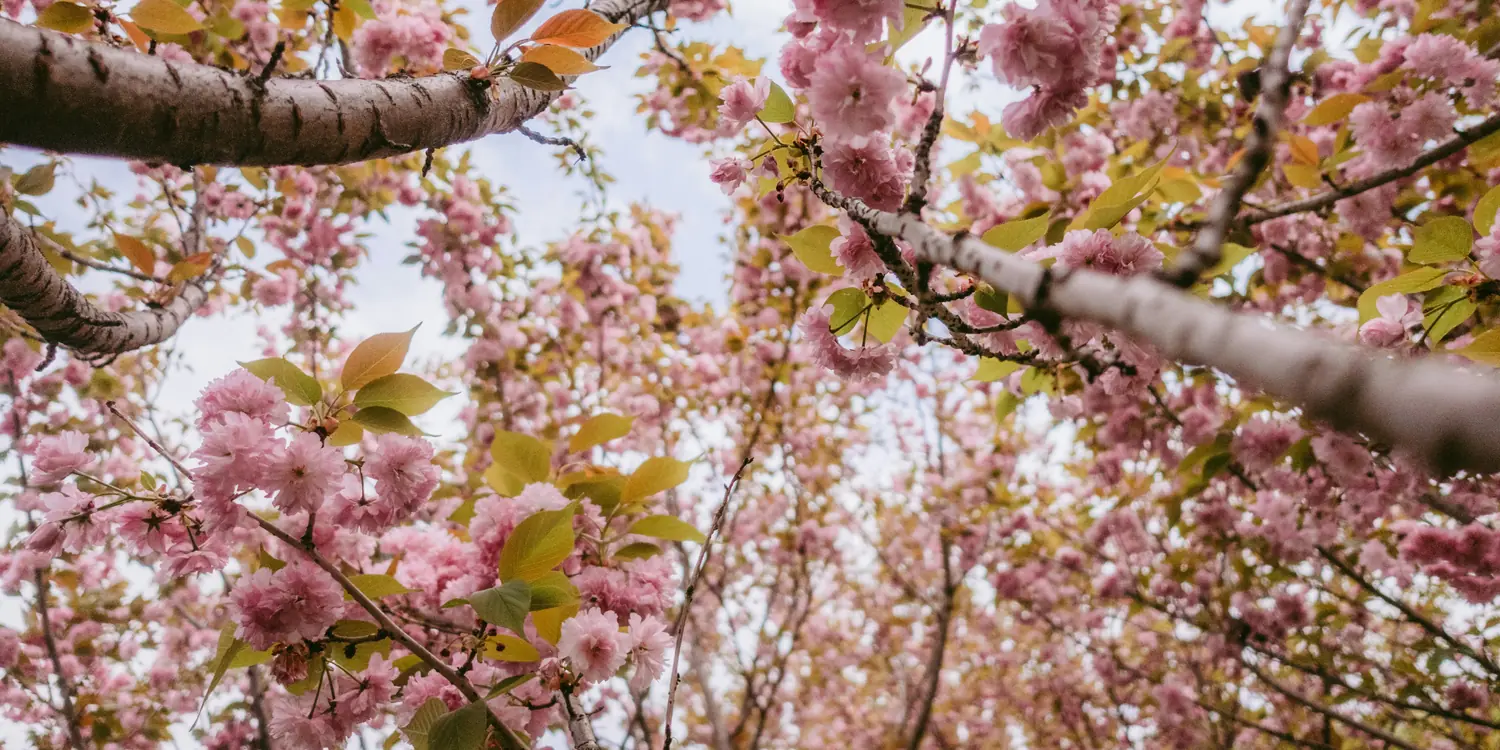 Background image of Zunyi