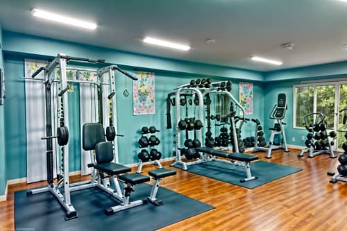 photo from pinterest of easter-style interior designed (fitness gym interior) with dumbbell stand and crosstrainer and squat rack and exercise bicycle and bench press and dumbbell stand. . with spring decorations and light blue colors and easter decorations and flowers on table and colorful easter eggs and spring decorations. . cinematic photo, highly detailed, cinematic lighting, ultra-detailed, ultrarealistic, photorealism, 8k. trending on pinterest. easter interior design style. masterpiece, cinematic light, ultrarealistic+, photorealistic+, 8k, raw photo, realistic, sharp focus on eyes, (symmetrical eyes), (intact eyes), hyperrealistic, highest quality, best quality, , highly detailed, masterpiece, best quality, extremely detailed 8k wallpaper, masterpiece, best quality, ultra-detailed, best shadow, detailed background, detailed face, detailed eyes, high contrast, best illumination, detailed face, dulux, caustic, dynamic angle, detailed glow. dramatic lighting. highly detailed, insanely detailed hair, symmetrical, intricate details, professionally retouched, 8k high definition. strong bokeh. award winning photo.