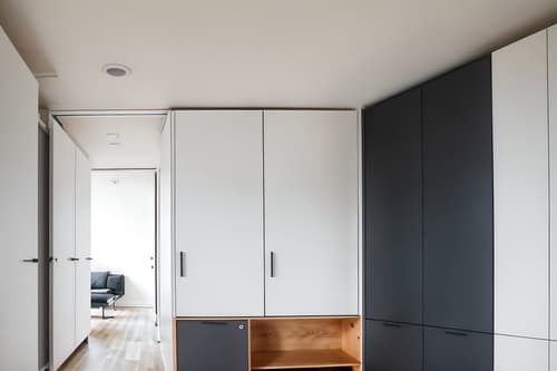 photo from pinterest of minimalist-style interior designed (drop zone interior) with cabinets and storage drawers and storage baskets and high up storage and lockers and cubbies and wall hooks for coats and shelves for shoes. . with functional furniture and a monochromatic palette with colour used as an accent and lots of light and clean lines and focus on the shape, colour and texture of just a few of essential elements and an open floor plan and functional furniture. . cinematic photo, highly detailed, cinematic lighting, ultra-detailed, ultrarealistic, photorealism, 8k. trending on pinterest. minimalist interior design style. masterpiece, cinematic light, ultrarealistic+, photorealistic+, 8k, raw photo, realistic, sharp focus on eyes, (symmetrical eyes), (intact eyes), hyperrealistic, highest quality, best quality, , highly detailed, masterpiece, best quality, extremely detailed 8k wallpaper, masterpiece, best quality, ultra-detailed, best shadow, detailed background, detailed face, detailed eyes, high contrast, best illumination, detailed face, dulux, caustic, dynamic angle, detailed glow. dramatic lighting. highly detailed, insanely detailed hair, symmetrical, intricate details, professionally retouched, 8k high definition. strong bokeh. award winning photo.